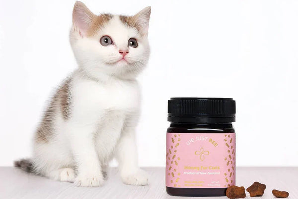 Honey For Animals