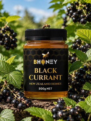 BHONEY Black Currant NZ Honey 500g