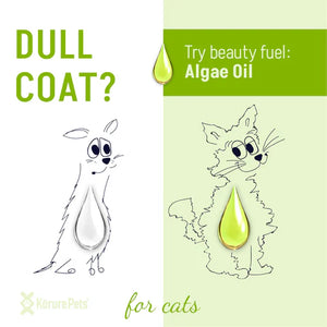 Korure Pets Algae Oil Cat 50ml