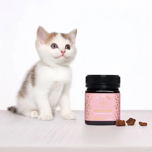 We Just Bee Manuka Honey for Cats 250g